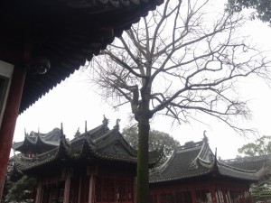 4-6上海　豫園